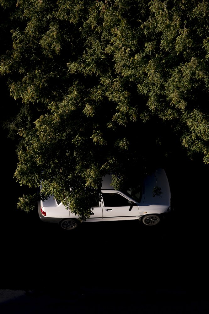 Photograph by Chia Hasankhali