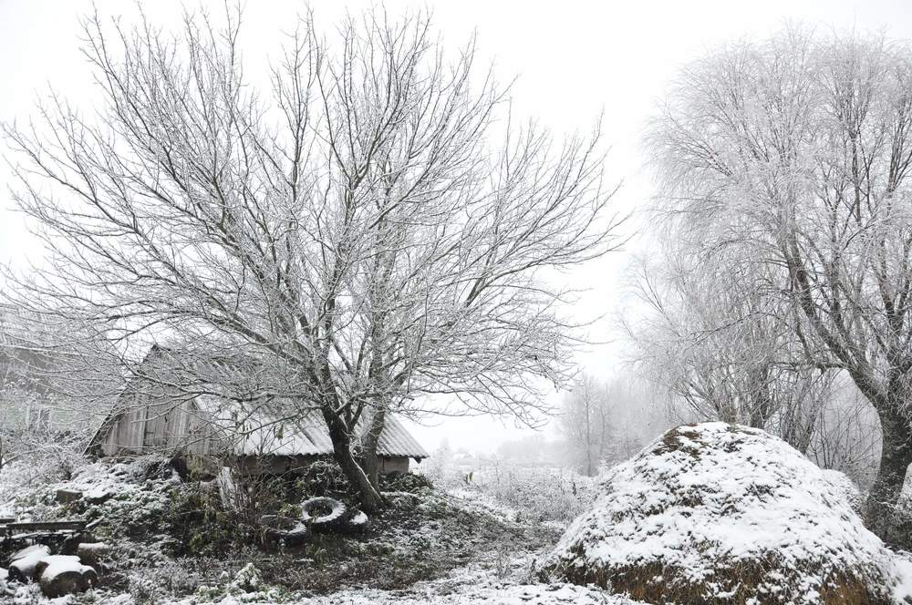 Сельская улочка