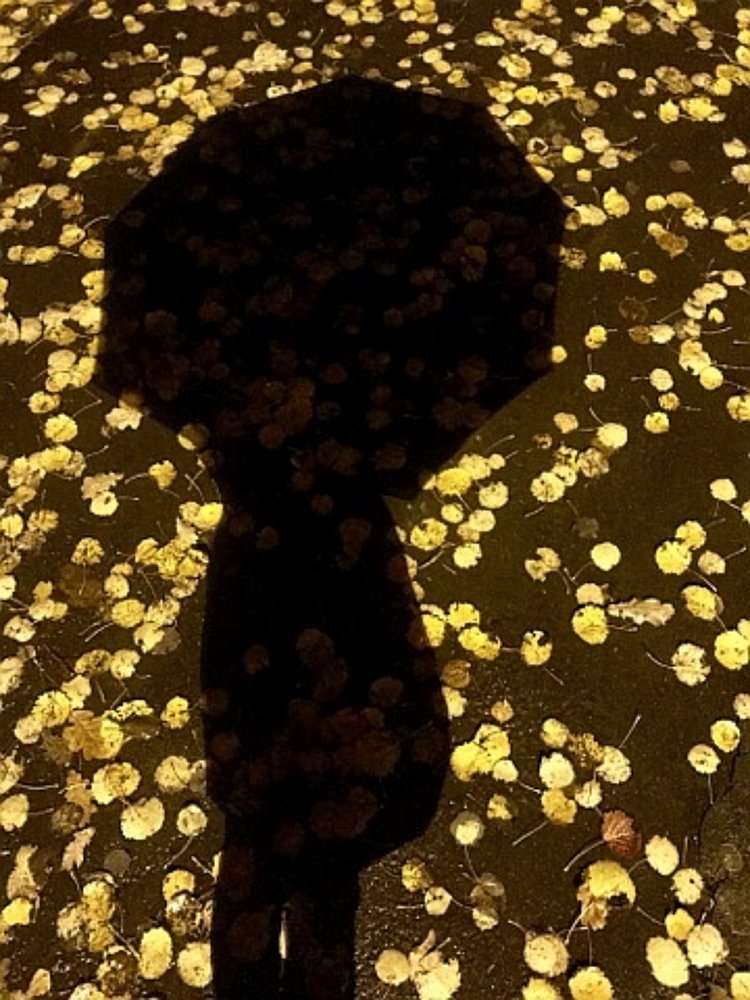 Photograph by Анна Проскурнина