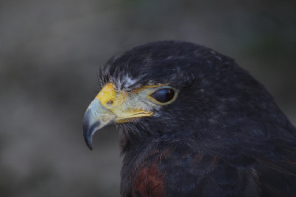 Photograph by Francisco Ferreira