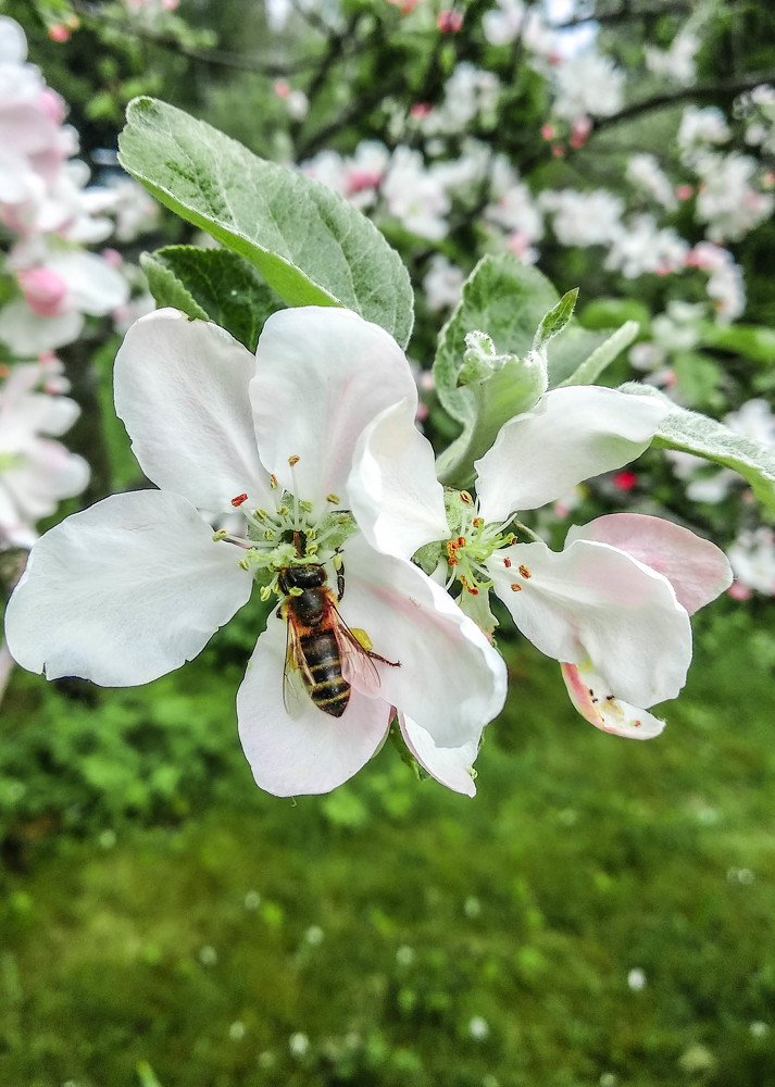 Photograph by Арсений Кучма