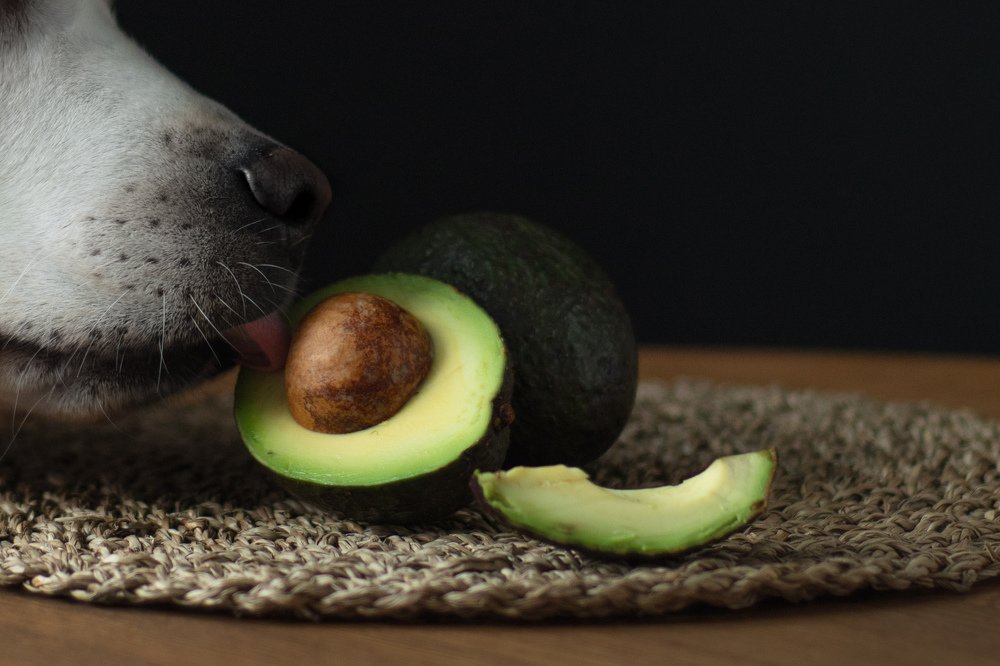 Photograph by Евгения Тарасова