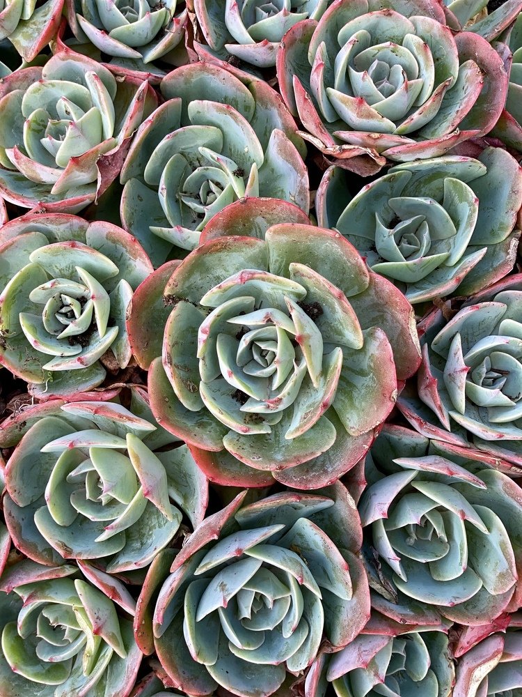 Photograph by Людмила Кириллова