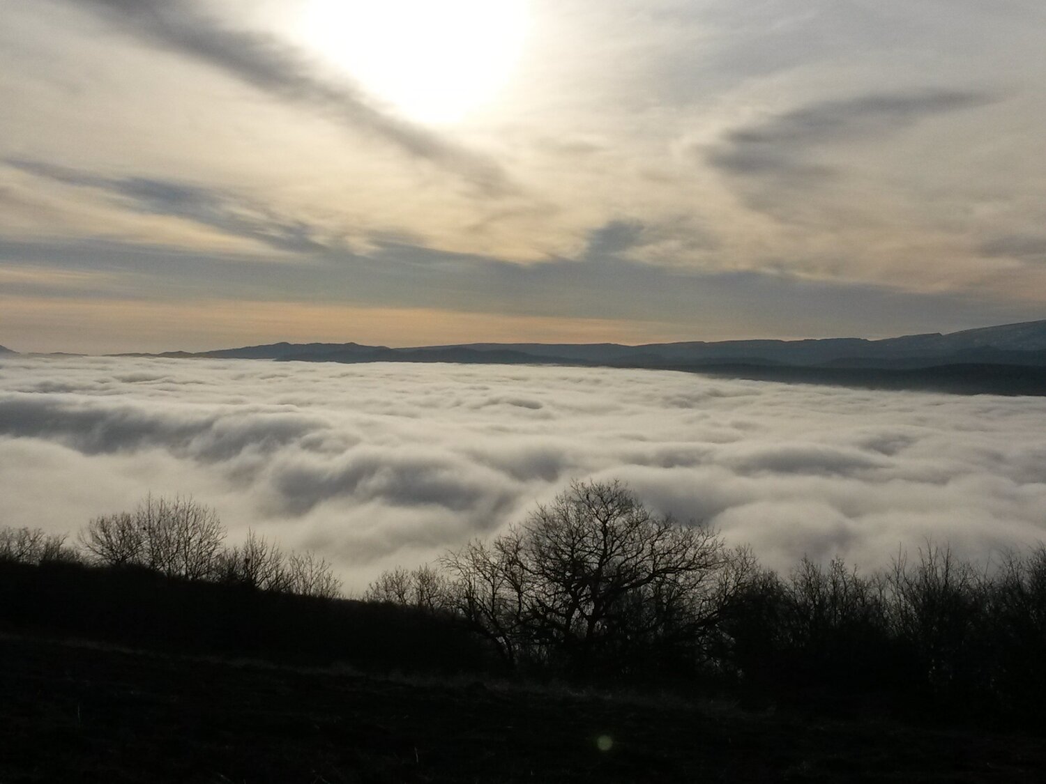 Photo #5394706