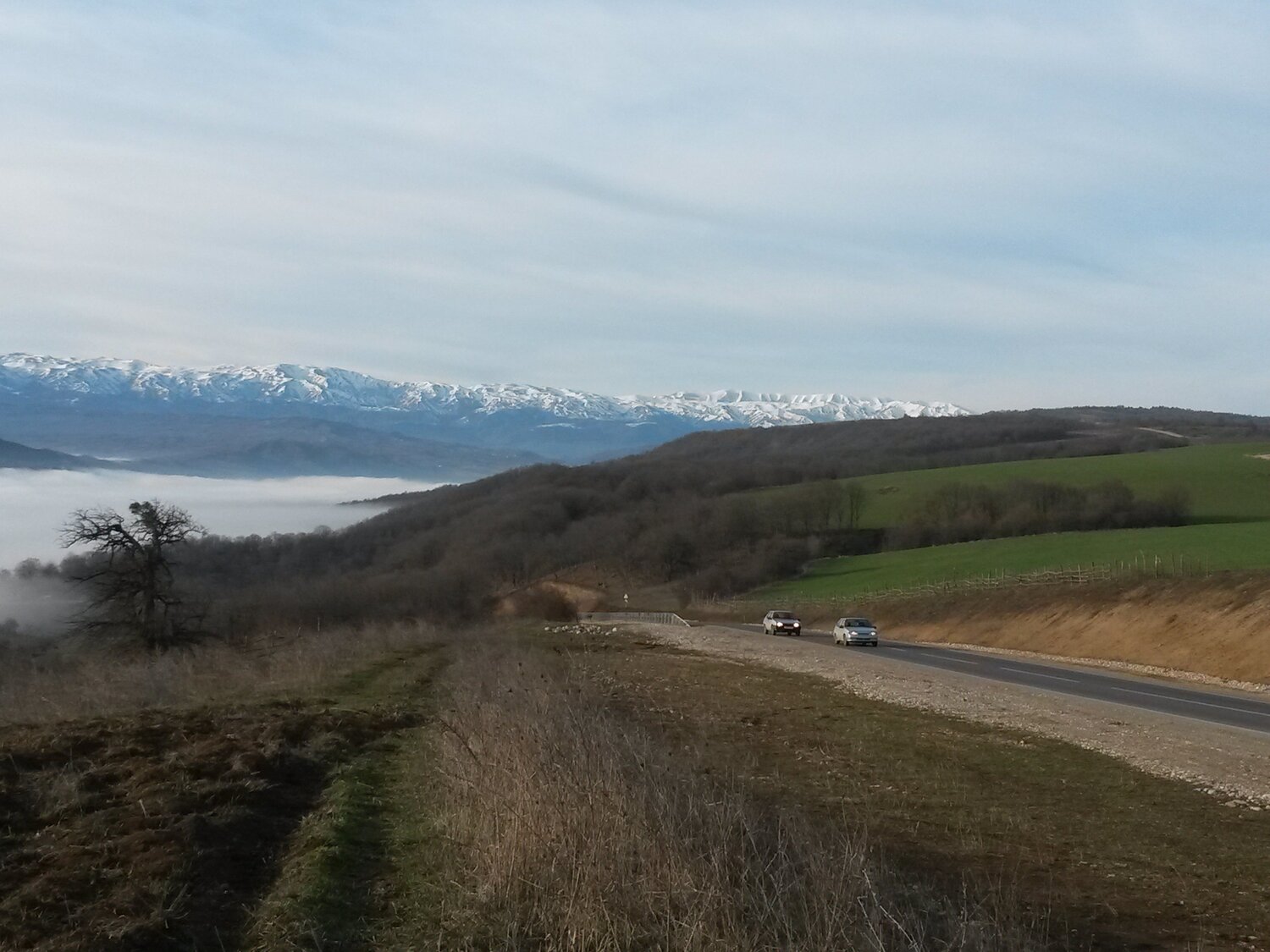 Photo #5394709