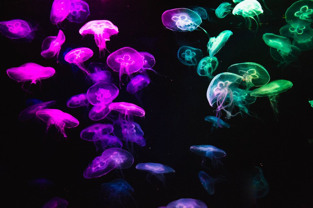 Photograph by Евгения Тарасова