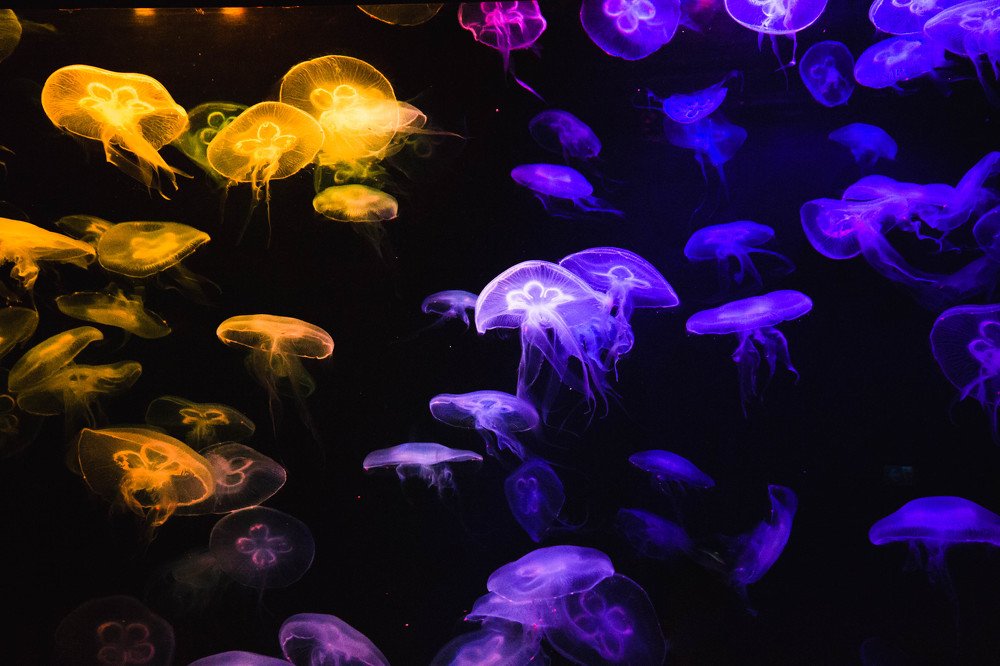 Photograph by Евгения Тарасова