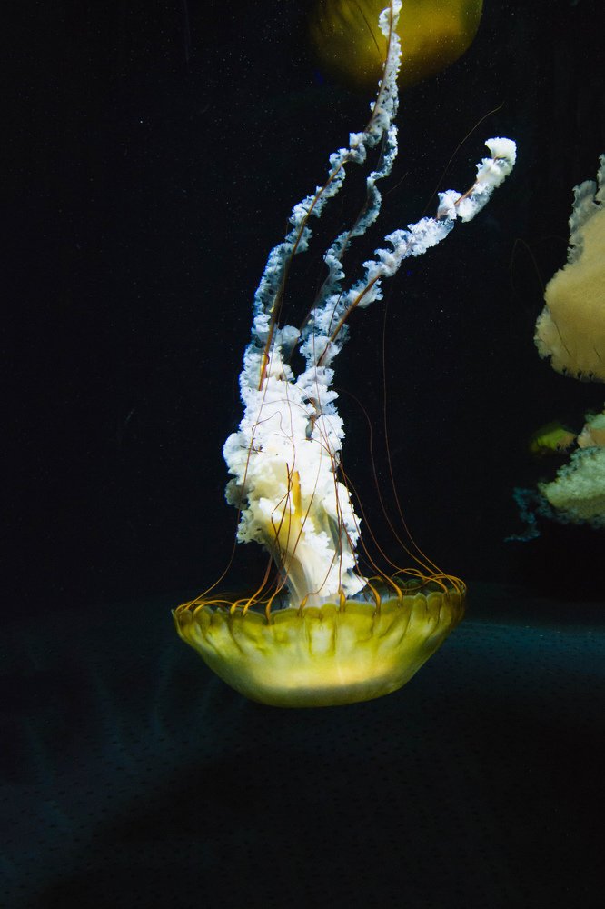 Photograph by Евгения Тарасова