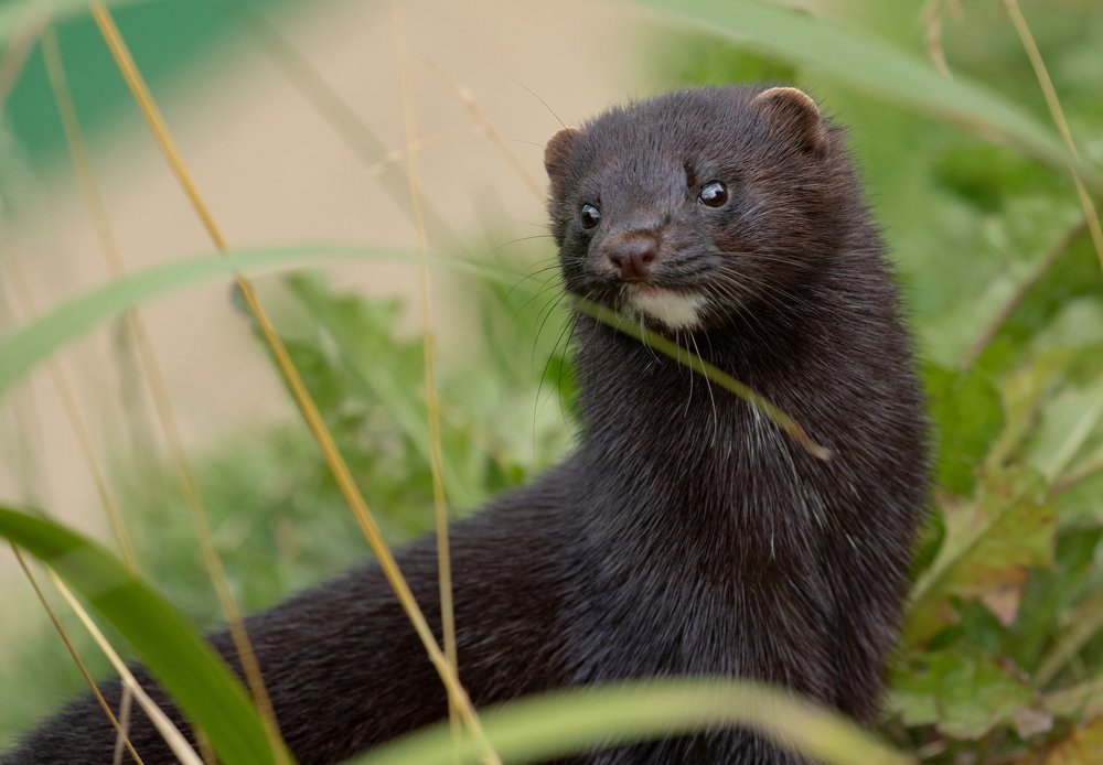 Фотография автора MARIA KULA