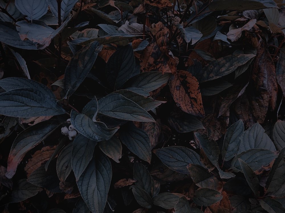 Photograph by Станислав Ситников