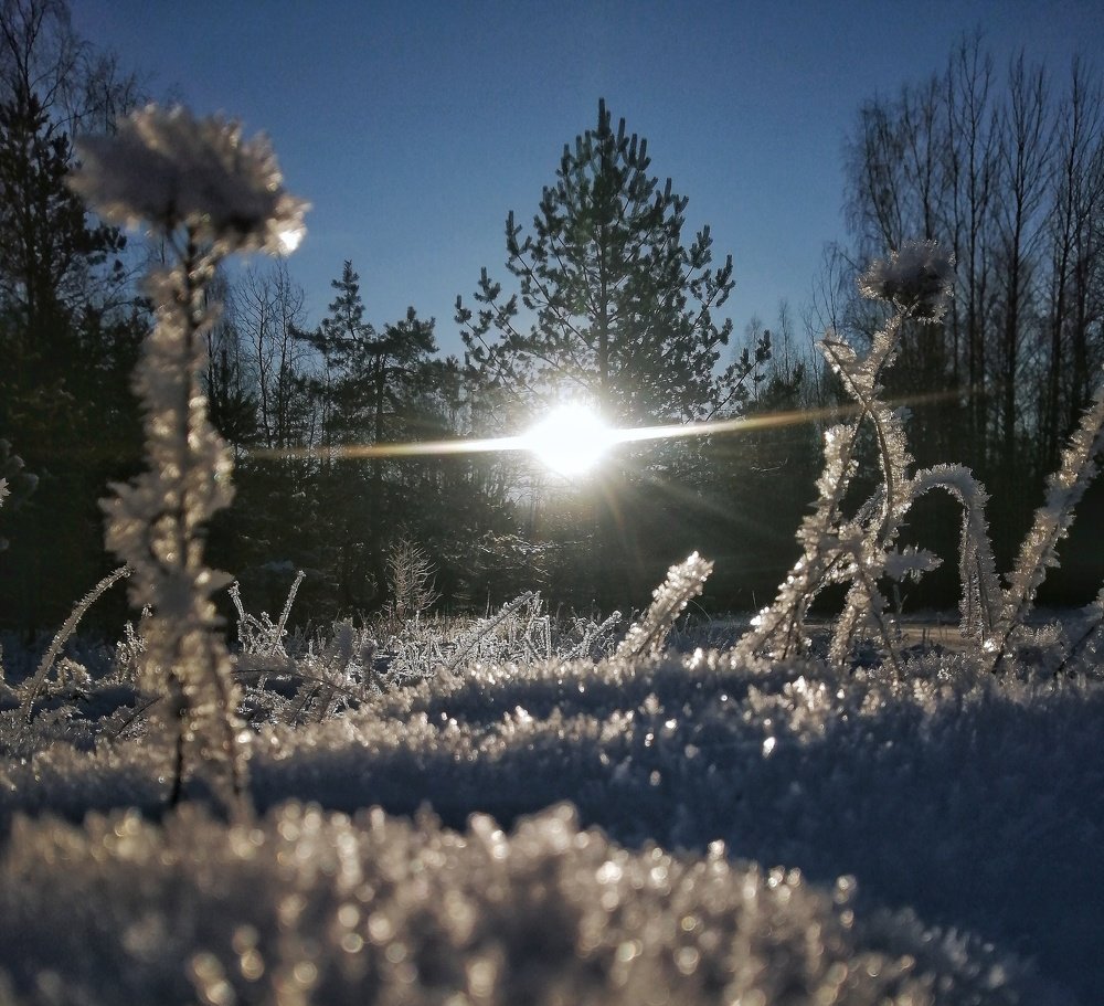 Photograph by Андрей Мелета