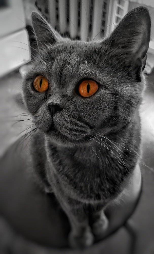 Photograph by Андрей Мелета