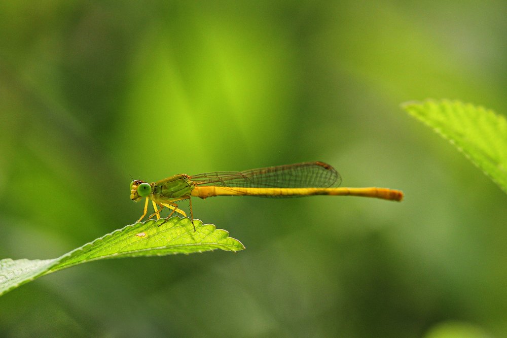 Photograph by Shadab Ishtiyak