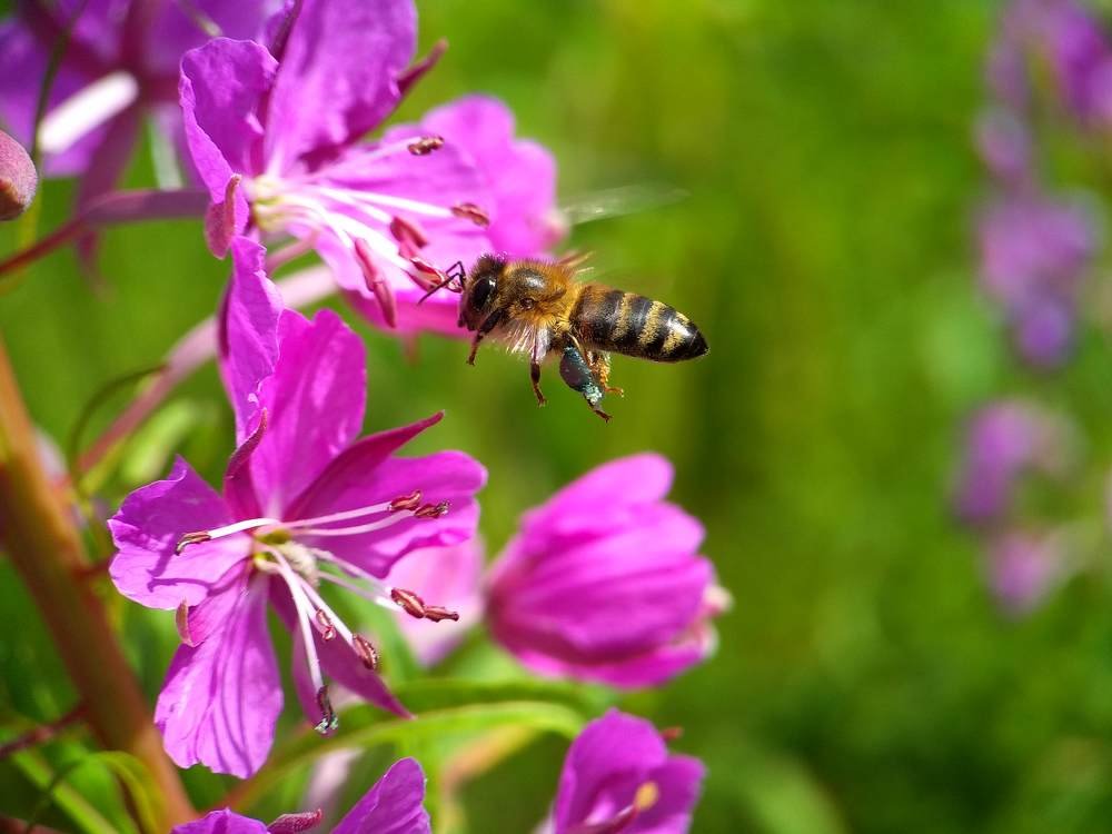 Photograph by Наталья Стальмакова