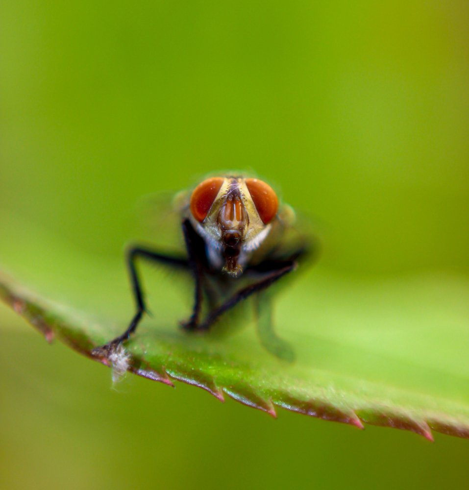 Photograph by Shadab Ishtiyak