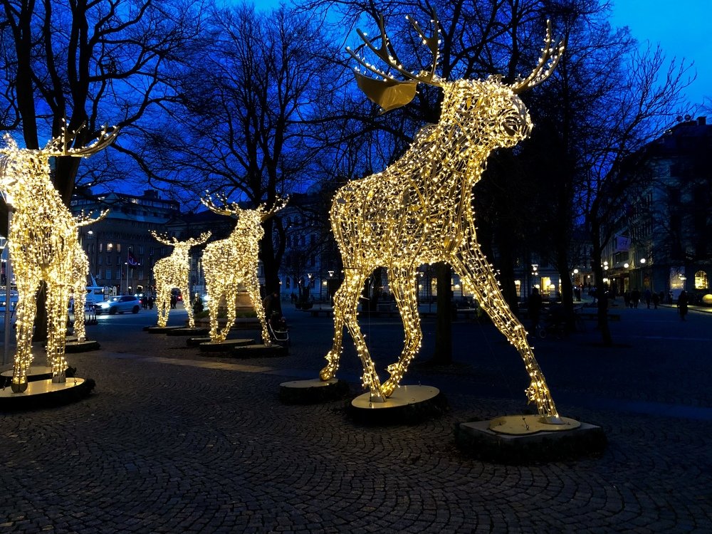 Photograph by Oksana Troshina