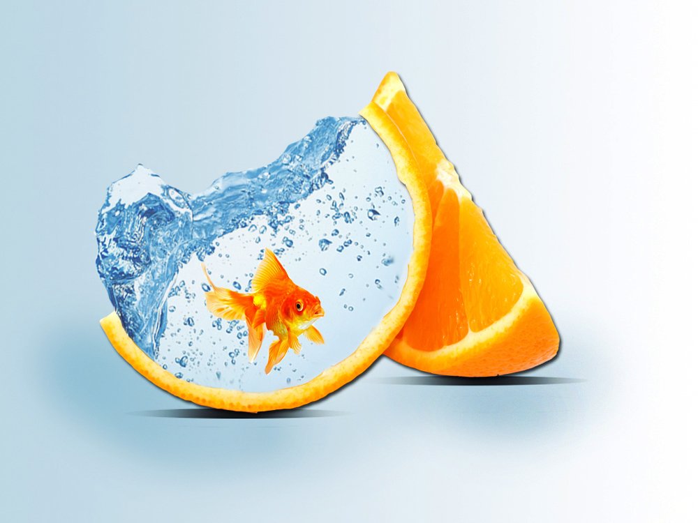 Photograph by Татьяна Дорожко