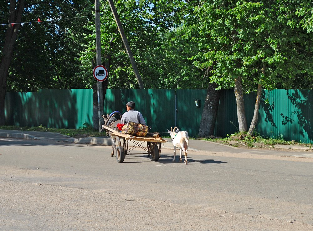 На сельской улице
