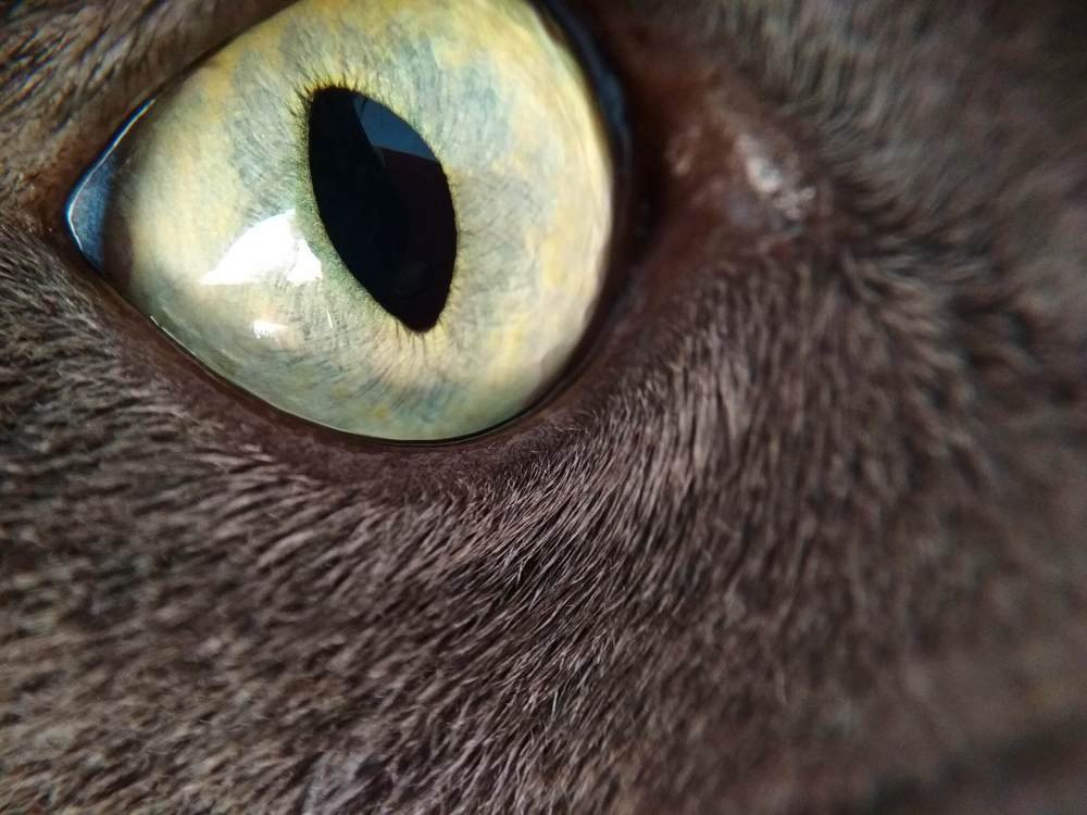 Photograph by Наталья Стальмакова