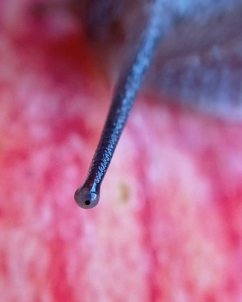 Photograph by Наталья Стальмакова