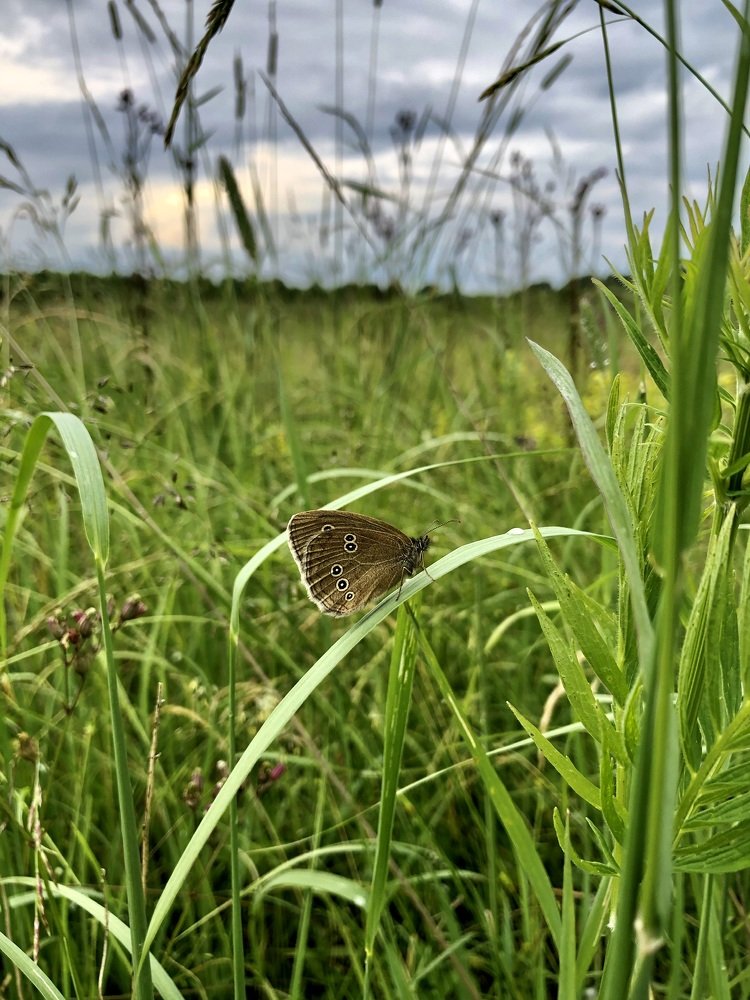 Photograph by Юлия Отставнова