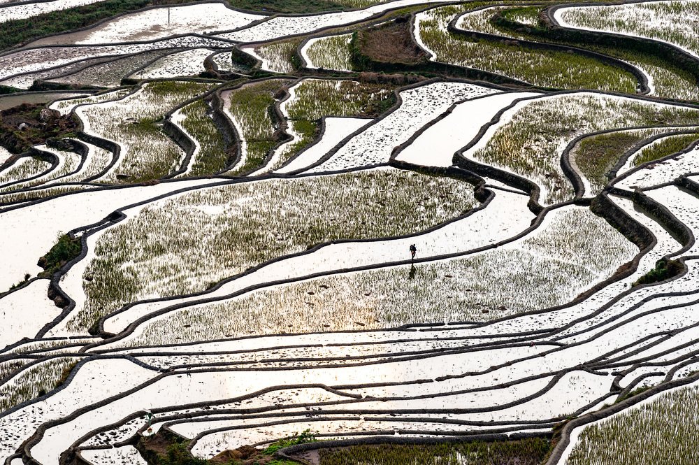 Photograph by Кирина Елизавета