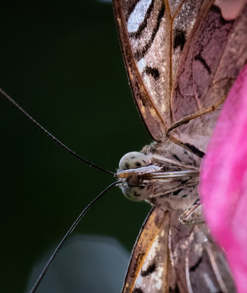 Photograph by Dem Kerrigan