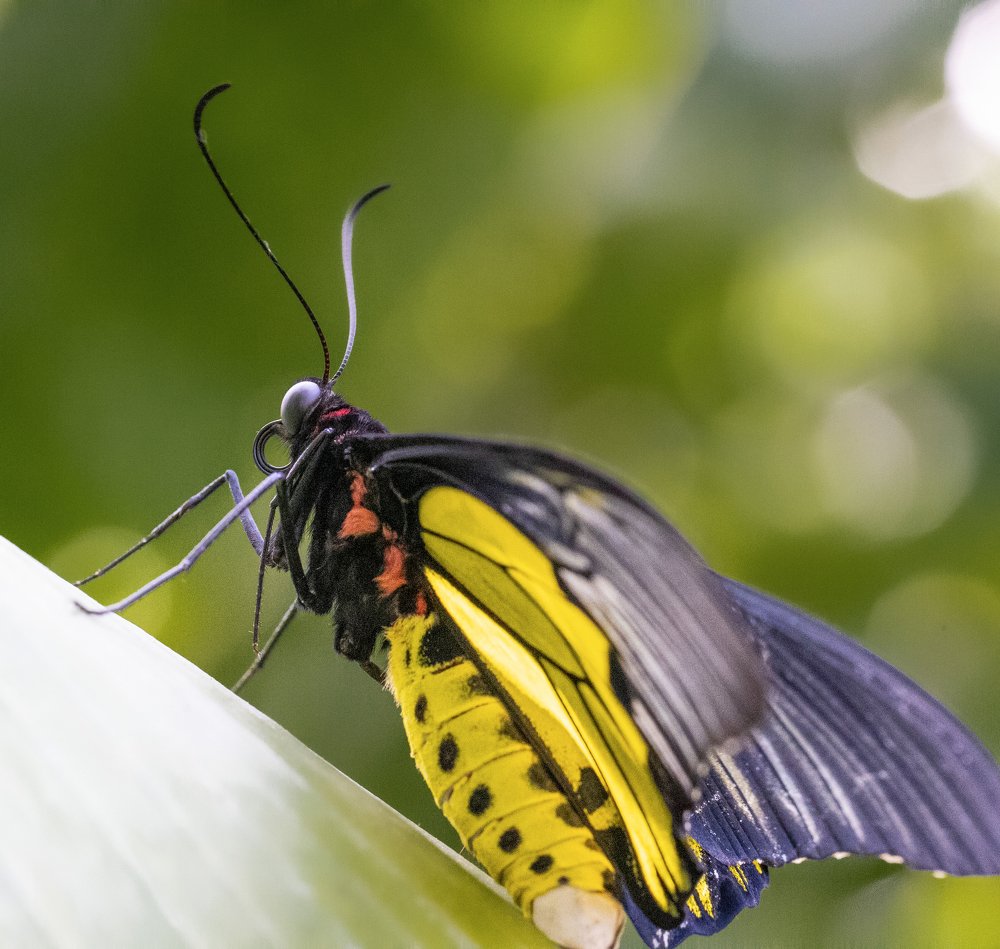 Photograph by Dem Kerrigan