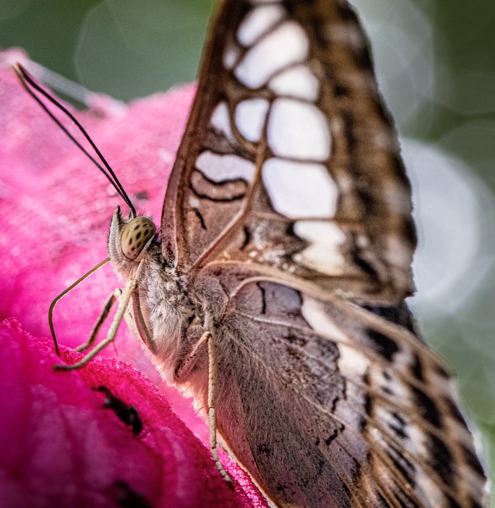 Photograph by Dem Kerrigan