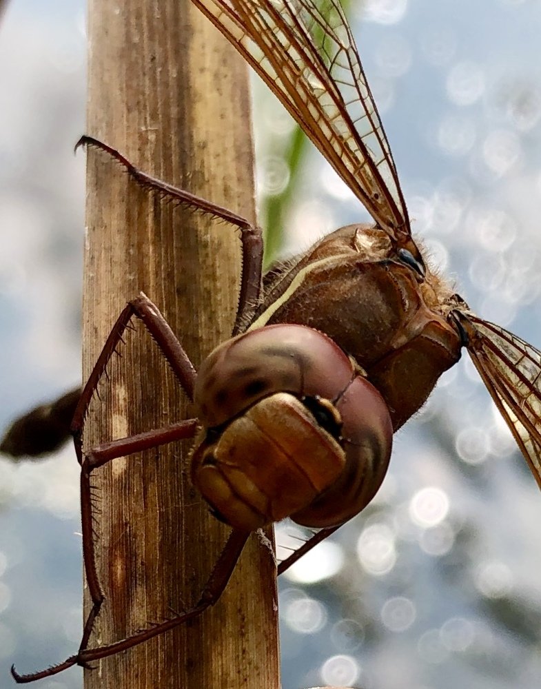 Photograph by Юлия Отставнова