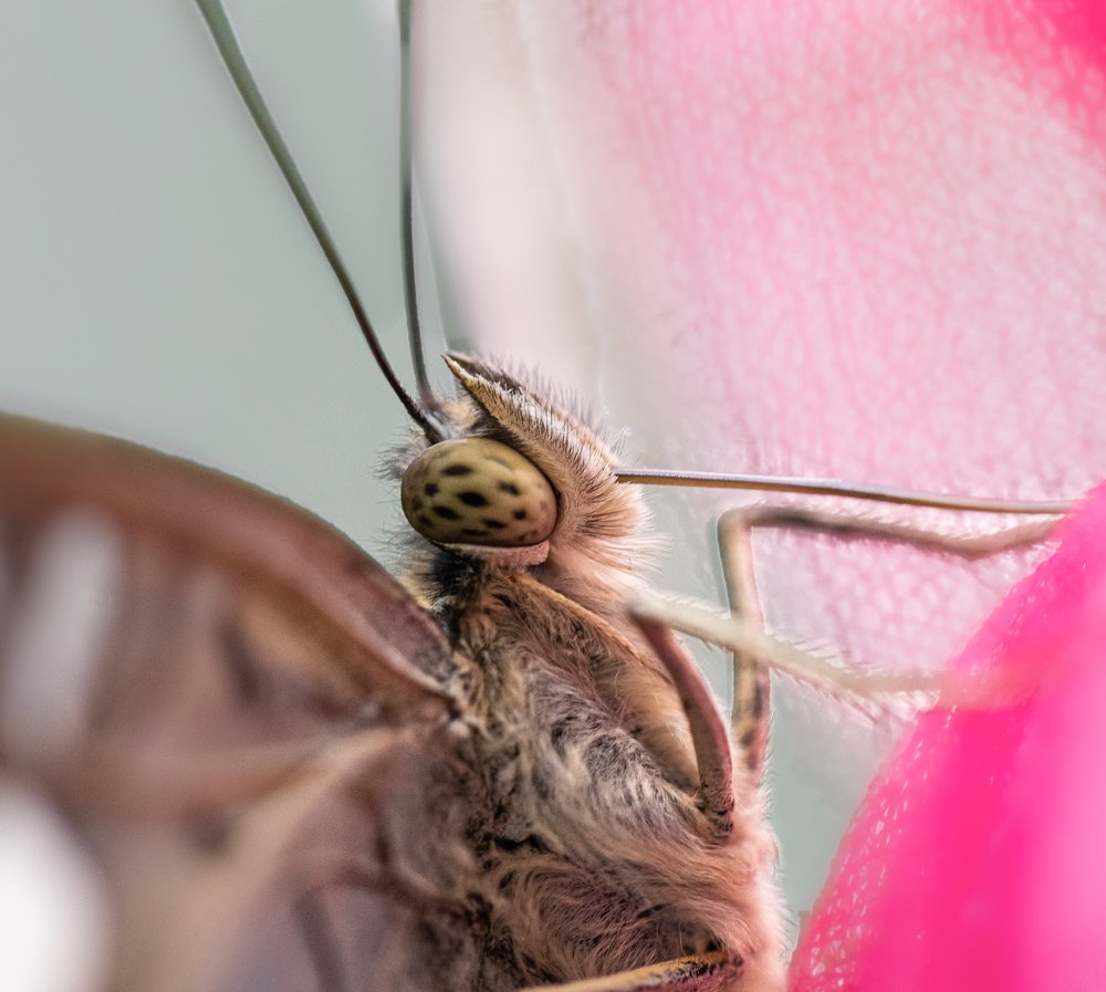 Photograph by Dem Kerrigan