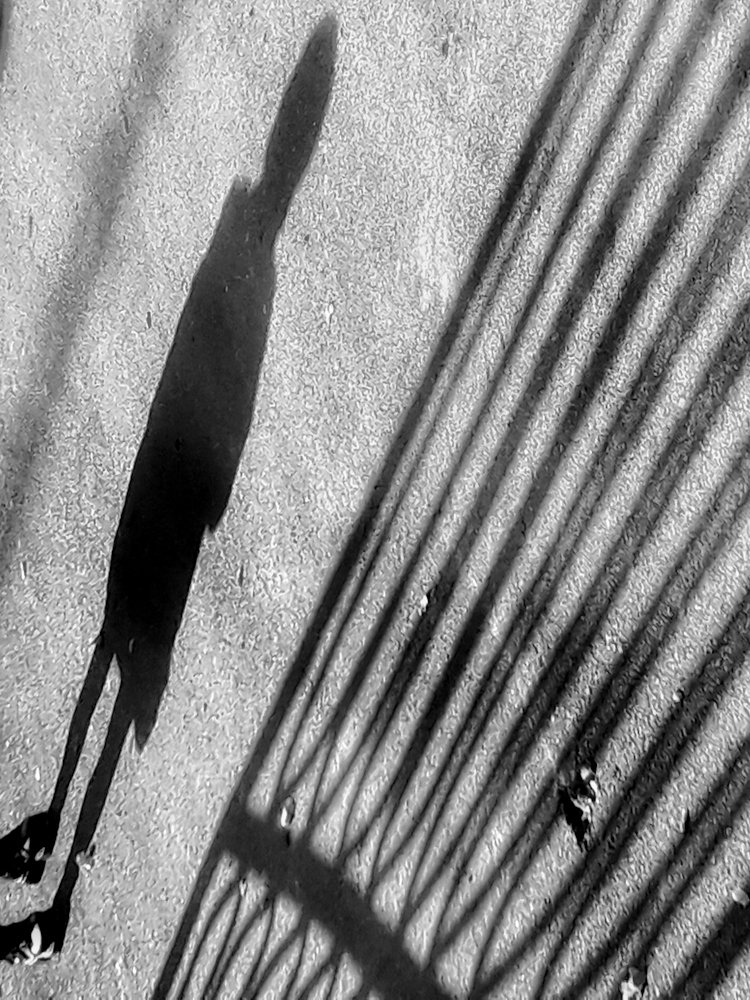 Photograph by Edris Khosravizadeh