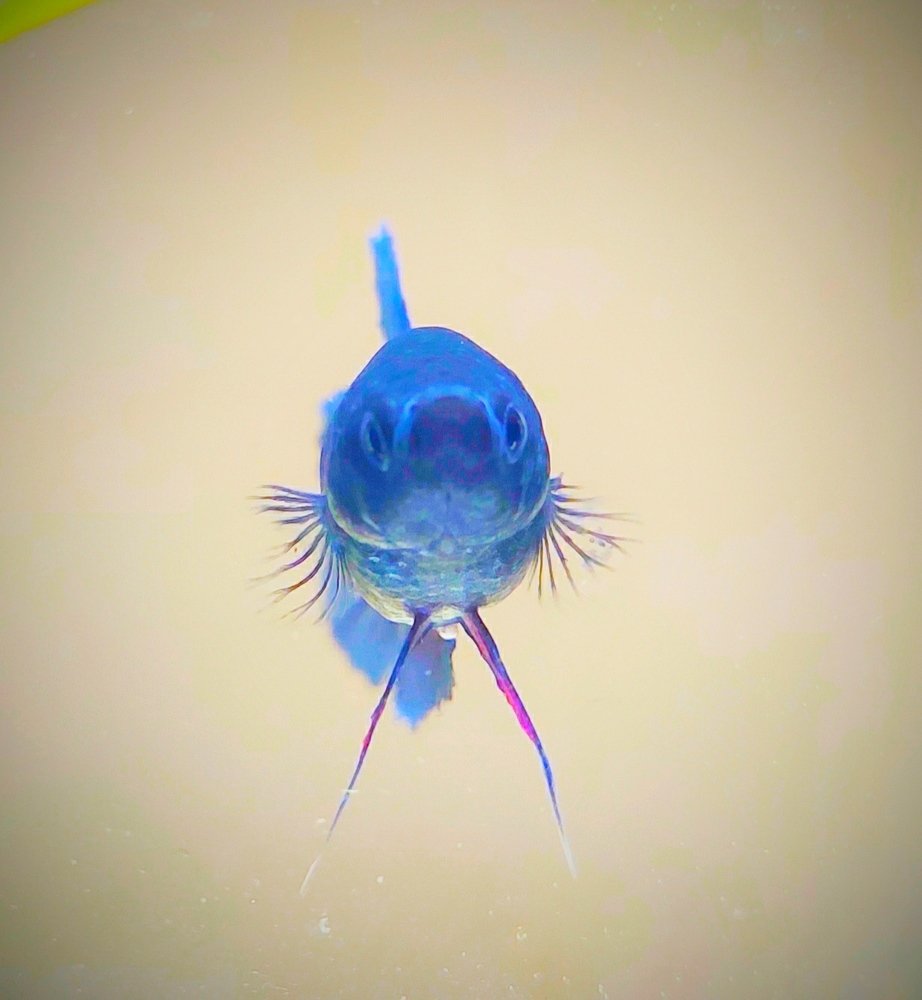 Photograph by Valdez Jonathan