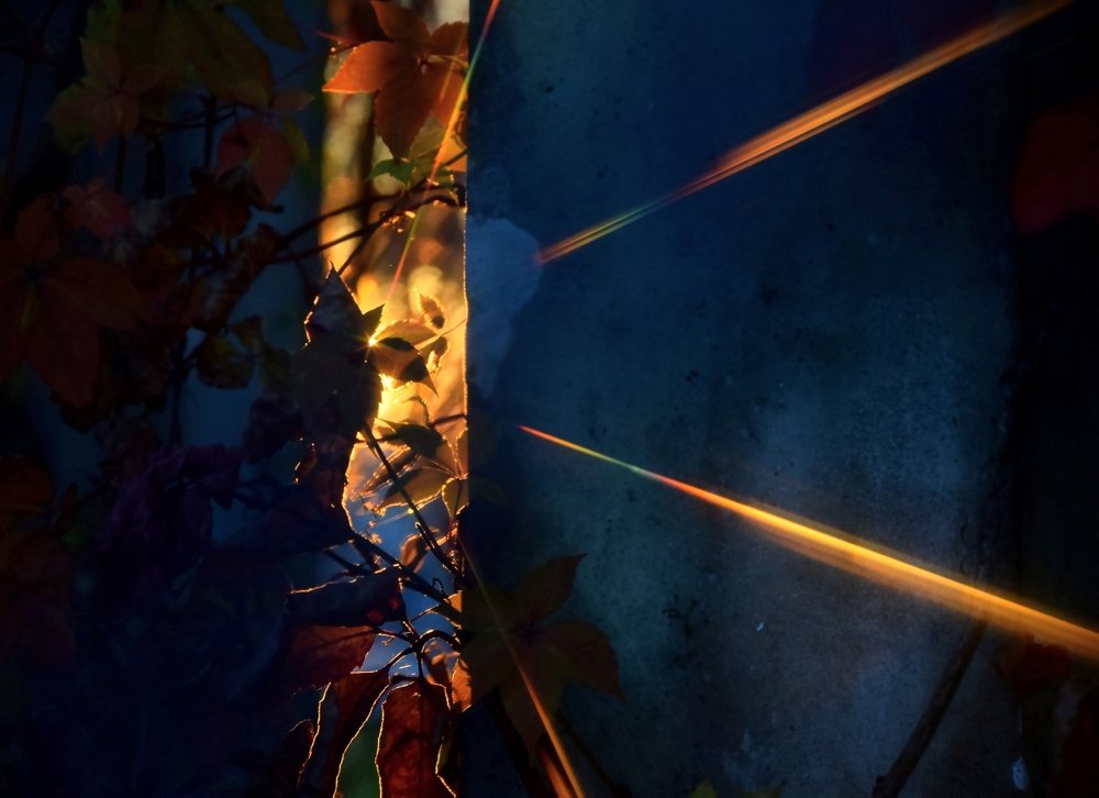 Лучики заката