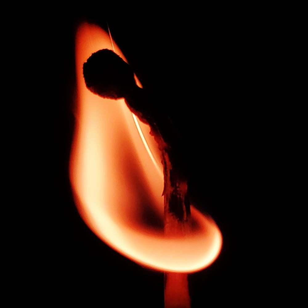 Photograph by Sharon Sabharwal