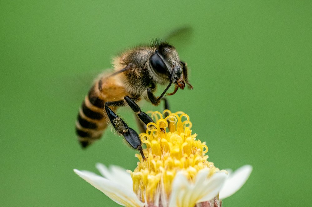 Photograph by Nicholas Ng