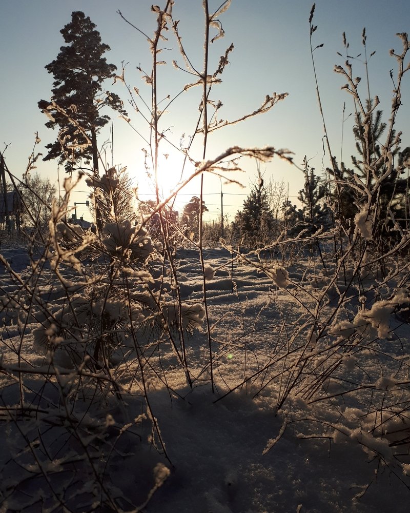 Photograph by Анна Кабиева