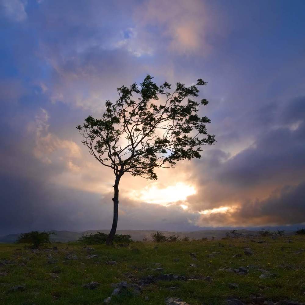 Photograph by Corneel Van maele