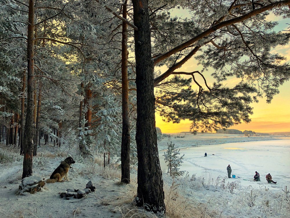 Лора пересчитывает рыбаков)