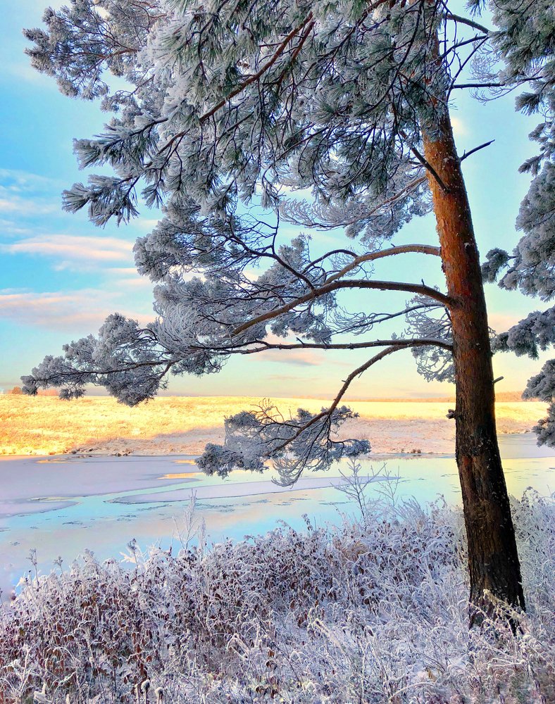 Photograph by Валентина Старикова