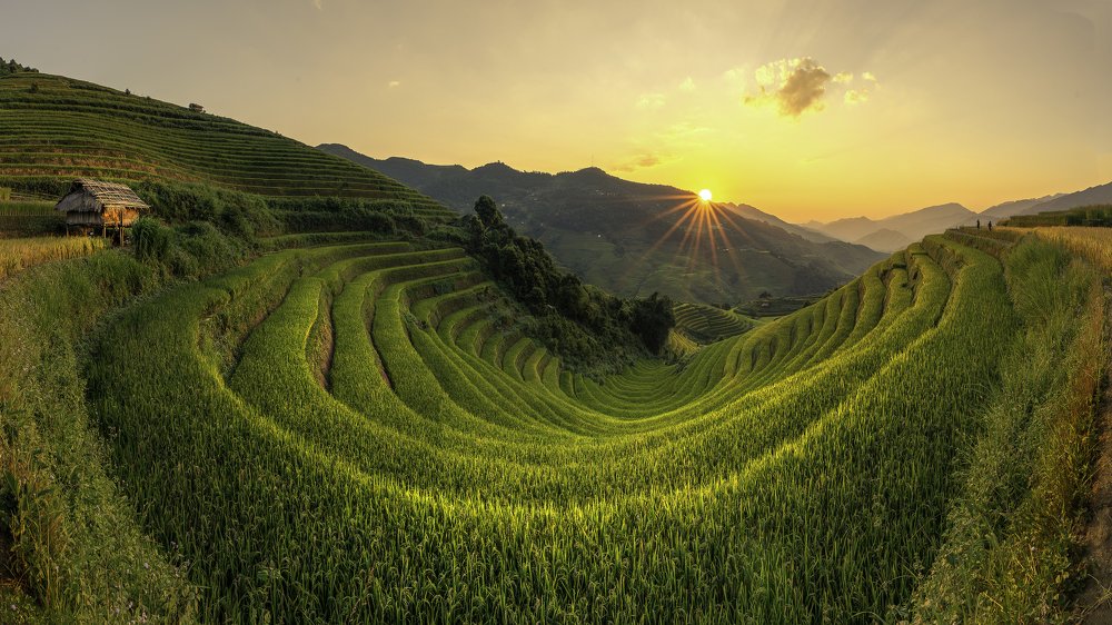 Photograph by Huy Doan