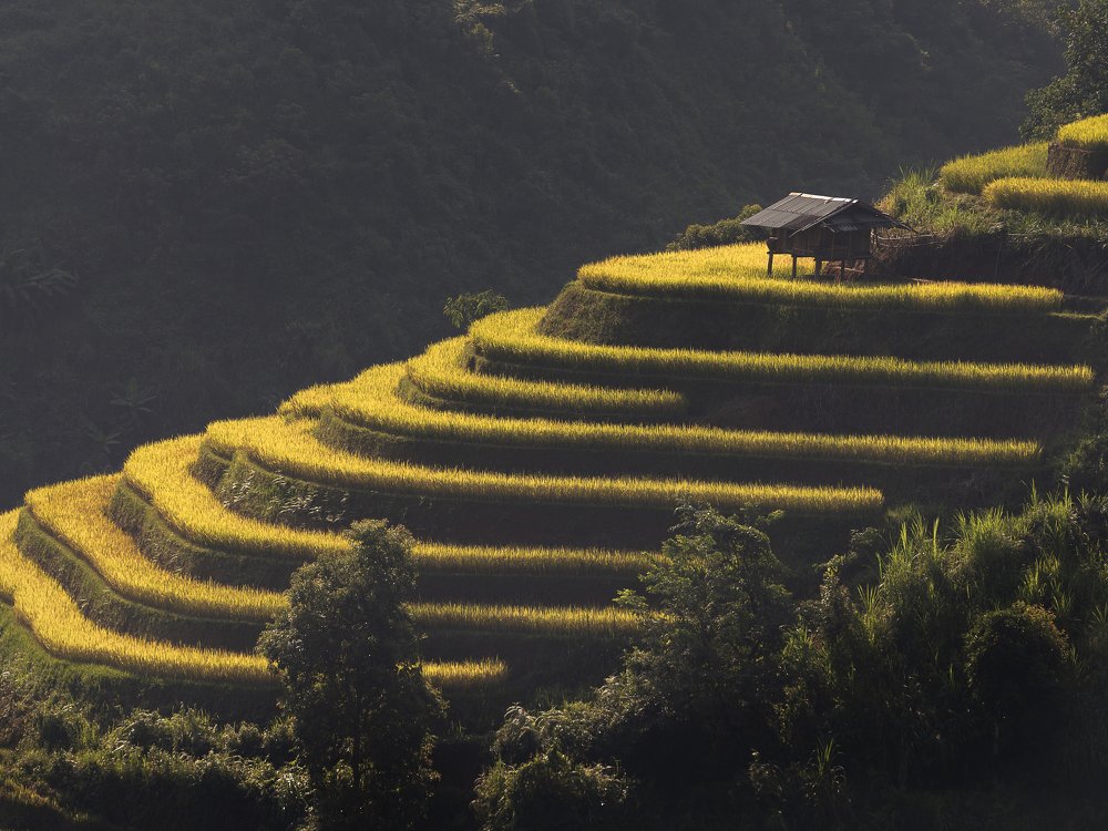 Photograph by Huy Doan