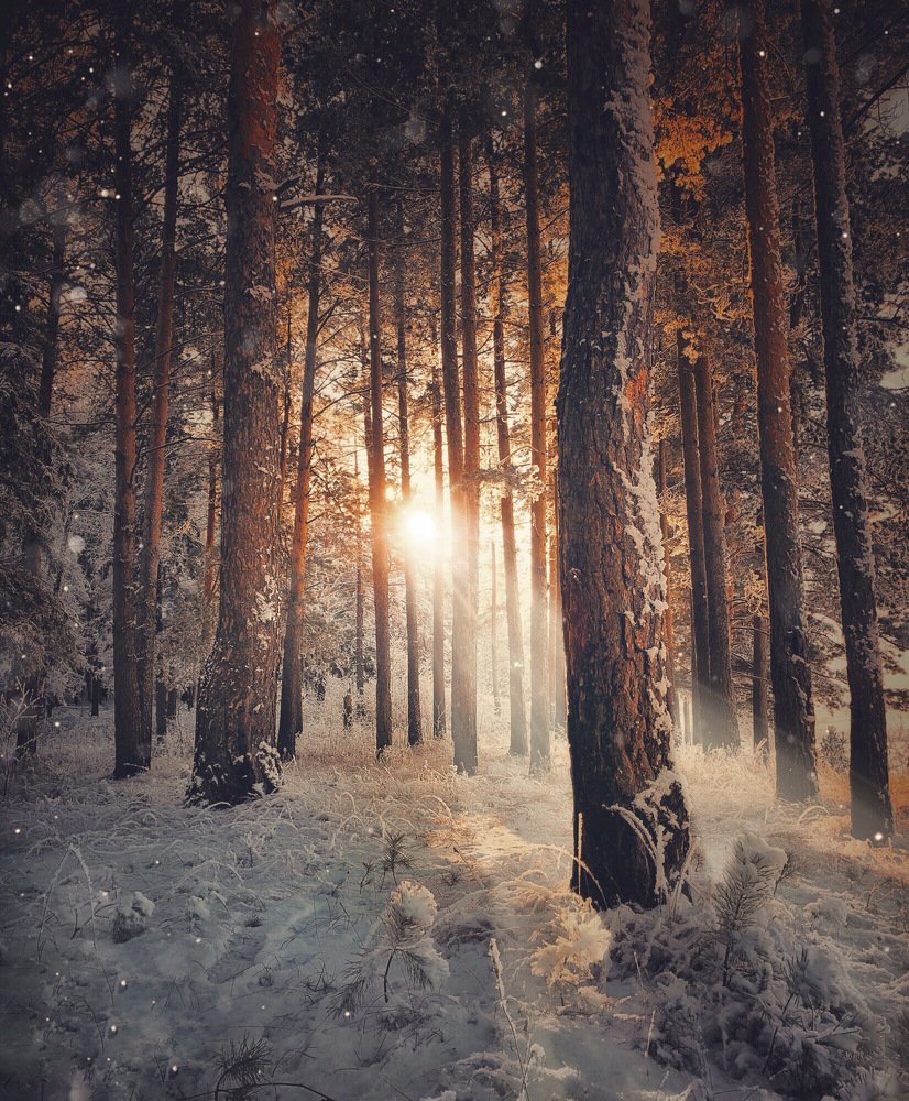 Photograph by Валентина Старикова