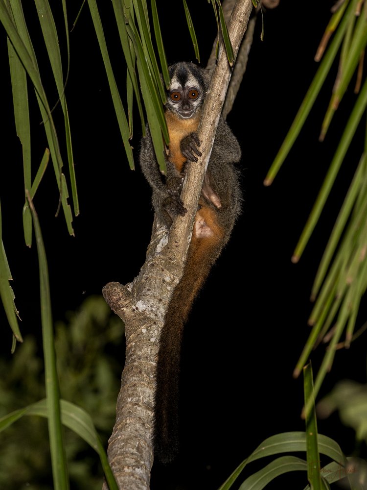 Photograph by Esteban Argerich