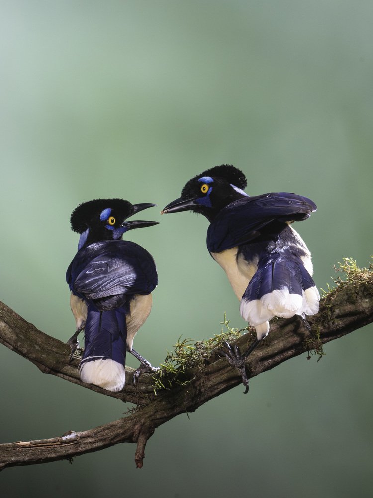 Photograph by Esteban Argerich