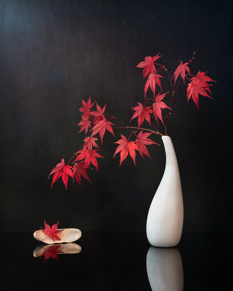 Фотография автора Aidong Ning