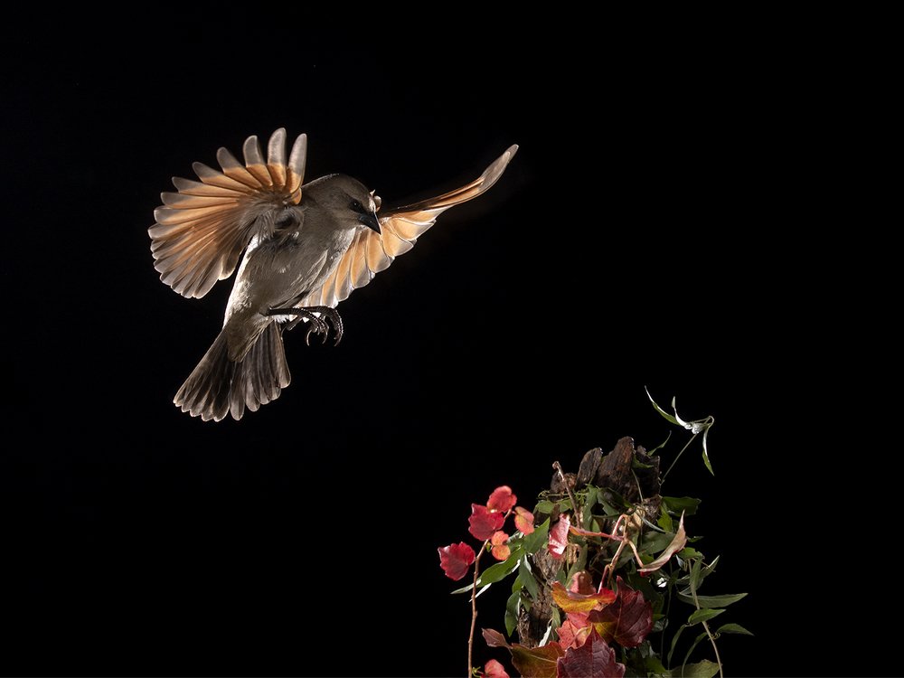 Photograph by Esteban Argerich