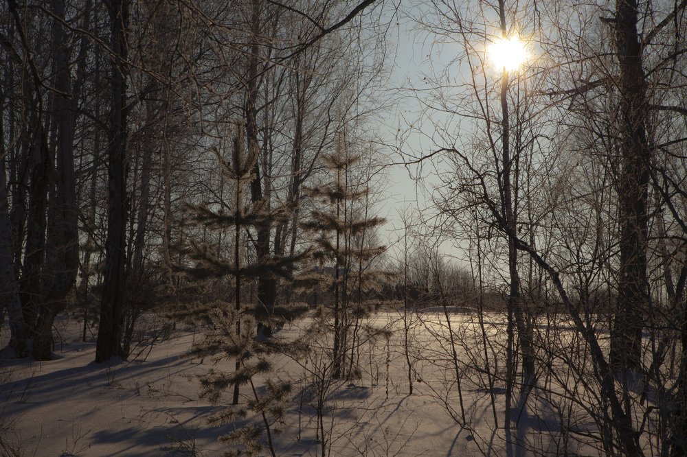Photograph by 