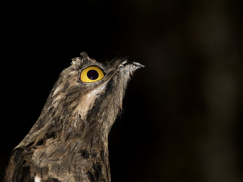 Photograph by Esteban Argerich