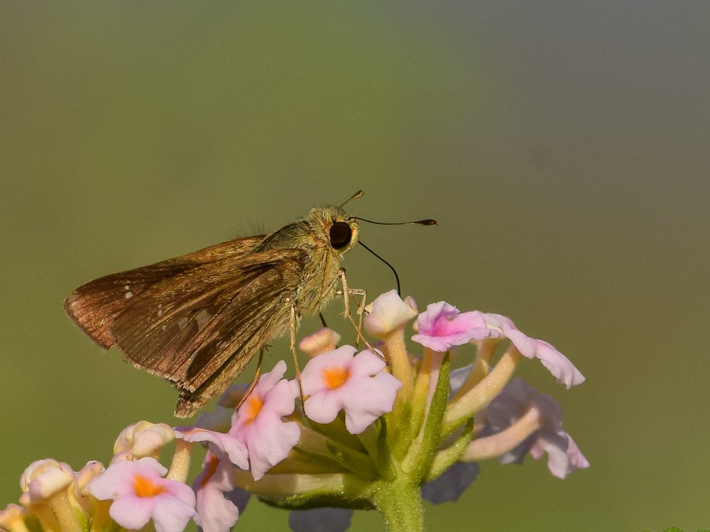 Фотография автора Harshit Sharma